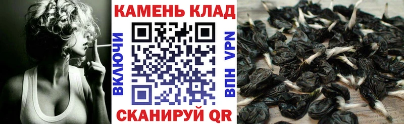 Гашиш ice o lator Сургут