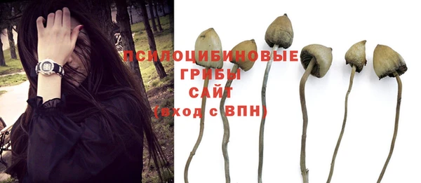 синтетический гашиш Верхний Тагил