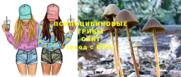 ПСИЛОЦИБИНОВЫЕ ГРИБЫ Снежногорск